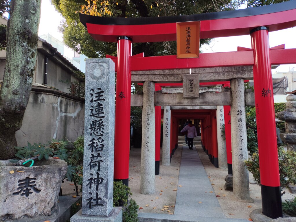 Scaled image IMG_20251207_161041.jpg 