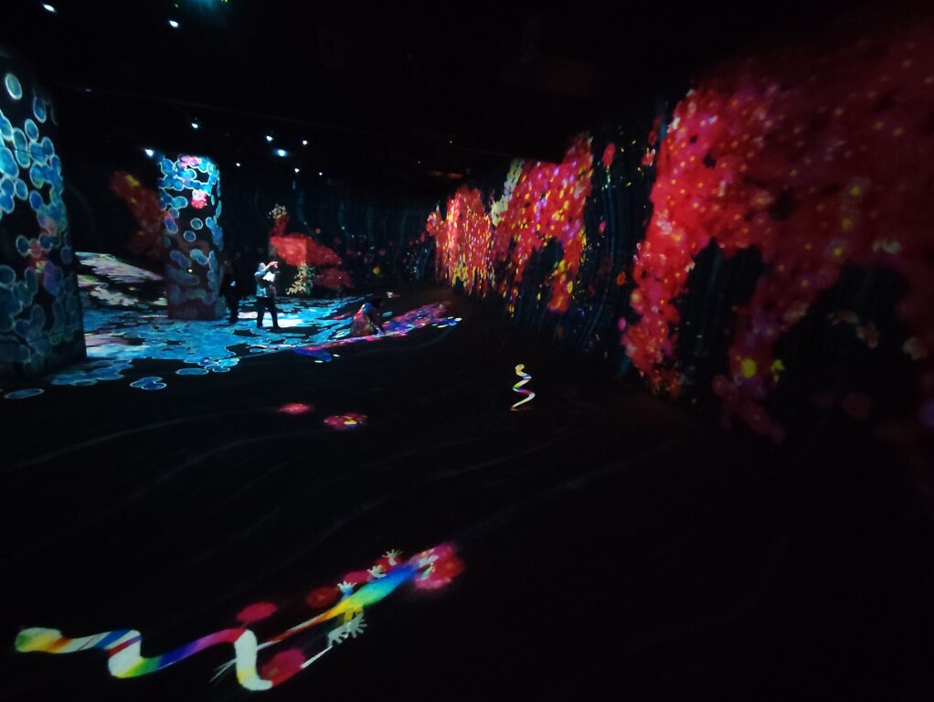 Scaled image IMG_20251213_105228.jpg 